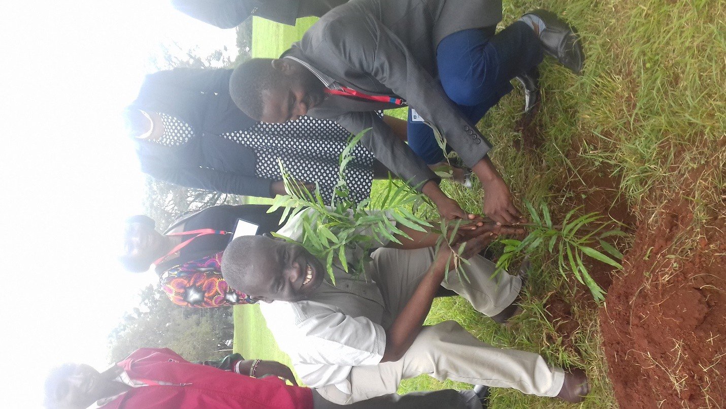 Commonwealth TVET Project